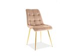 Sedia Da Pranzo Imbottita Lya - Beige / Oro