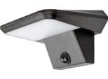 Lampada Solare Da Parete Per Esterni Con Sensore Led 10W Qesa Nero 77005 Rabalux