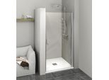 Polysan Zoom Line - Porta Doccia Monoblocco 1000 Mm, Alluminio Lucido/Vetro Chiaro ZL1210