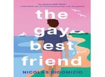 Il Migliore Amico Gay