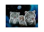 Grafika Puzzle Famiglia Elusiva 2000 Teile