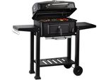 Carrello Per Barbecue A Carbonella Bbq-Toro Con Vassoio Per La Carbonella Regolabile In Altezza, Barbecue A Carbonella Con Termometro