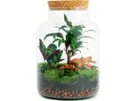 Bottiglia Da Giardino Fai Da Te - Terrario Milky Palm - Ø21Cm X 30Cm - Mini Ecosistema Auto-Irrigante - Istruzioni Incluse - Perfetto Per Casa E Ufficio
