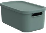 Scatola Rotho Decorazione Albula Light 12 L Impilabile Verde