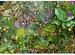 Grafika Puzzle FrançOis Ruyer - Giungla - Puzzle Da 1000 Pezzi