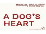 Il Cuore Di Un Cane