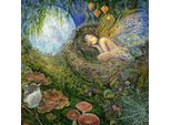 Grafika Puzzle Josephine Wall Fairy Nest Puzzle Da 1000 Pezzi