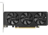 Asus Rtx5060-O8G-Lp-Brk 8Gb Gddr7 Hdmi Dp