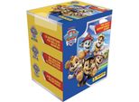 Scatola Di Adesivi Paw Patrol 11 (36)