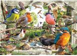 Puzzle Ravensburger I Nostri Amici Pennuti 1000 Pezzi