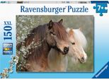 Bellissimi Cavalli Ravensburger 12986