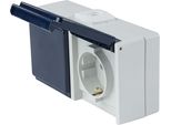 As-Schwabe 62463 Presa Di Corrente, Orizzontale A 2 Vie, 2 Entrate Cavi, Ip 54
