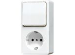 Jung 676AWW Interruttore Elettrico Interruttore A Bilanciere Bianco (676AWW)