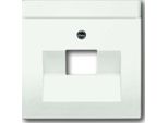 BUSCH-JAEGER Zentralplatte Uae/Iae 1F Futuro Lineare Std-Ws Mt