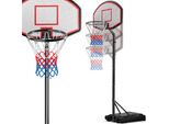 Deuba Canestro Da Basket Mobile Con Rotelle Altezza Regolabile 257 - 305Cm Con Base Set Cestino Partita Pallacanestro