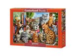 Castorland Casa Del Gatto Puzzle 2000 Pezzi