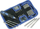 Set Di Punte/Avvitatori Daytools BSS-24, Punte Da 100 Mm