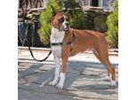 Petsafe Pettorina Per Cani Easy Walk M Nero
