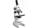 Microscopio A Cono College 600X - Preciso Dal Punto Di Vista Scientifico