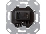 Gira Usb-Spannungsversorgung 2-F. Typ A/C Einsatz 236900 (236900)