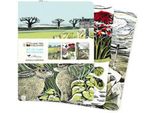 Angela Harding: Paesaggi Set Di 3 Quaderni Midi