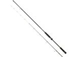 Daiwa Bg Tenya Game Bootsrute Silber 2.40 M / 15-80 G Silber 2.40 M