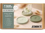 Set Di Sottobicchieri Fai Da Te Graine Creative Motivo Foglie Di Gesmonite