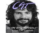 Gatto In Viaggio Verso La Scoperta