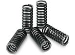 Tecnium Spr0136 Set Di Molle Per Frizione Kawasaki Argento Argento Taglia Unica