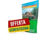 Prato Ornamentale - 100G Bottos Seme Professionale Per Prato Gazon Ornamenta