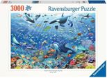 Divertimento Sottomarino Colorato Ravensburger 17444