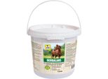 Vitalstyle Oerbalans Brok Secchio 4 Kg