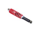 Ammortizzatore Anteriore, Ammortizzatore Della Sospensione Anteriore, Molla Ammortizzatore Anteriore, Ammortizzatore Moto, Gruppo Molla Ammortizzatore, Ammortizzatore Da 325 Mm