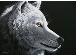 Grafika Puzzle Wolf Light - Schim Schimmel - Puzzle Da 1000 Pezzi