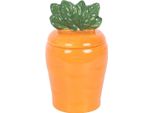 Something Different - Bruciatore Di Olio, Carota SD6877 (Taglia Unica) (Arancione/Verde)