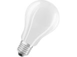 Osram 4058075305038 Lampadina Led Bianco Freddo 4000 K 17 W E27 D