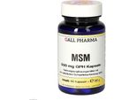 Msm 500 Mg Gph Capsule 60 Capsule