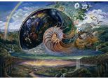 Grafika Puzzle Nautilus 1500 Pezzi