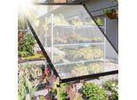 Aopunly Telone Trasparente Impermeabile In Pvc Con Occhielli, Telone Resistente Alle Intemperie Tettoie Resistenti Pieghevole, 2 × 4M Telone Di Protezione Dalla Pioggia Per Mobili Da Giardino Piante Serra