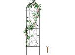 Traliccio Per Piante Rampicanti - Traliccio Per Piante Q195 - 38X152Cm Prodotti Da Giardino Per Piante Rampicanti