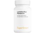 Supersmart Lactobacillus Plantarum Postbiotic Dietary Supplement - 60 Caps. Veg.
