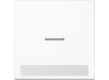 Jung Interruttore A Bilanciere Di Controllo LS990 Aws Glz