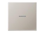 Interruttore A Bilanciere Di Comando Jung In Acciaio Inox Edst Mt