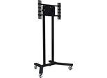 B-Tech BT8504, 70 Kg, 190,5 Cm (75"), 600 X 400 Mm"
