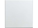 Busch-Jaeger Piastra Centrale Cieca 1576 C-914 2CKA001582A0401