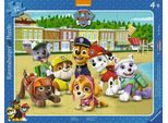 Ravensburger 6155 Ravensburger Paw Patrol Familienfoto Puzzle 37 Teile