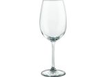 Schott Zwiesel Ivento Bicchieri Da Vino Bianco 340Ml (6 Pezzi)