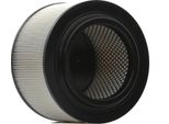 Ridex 8A0589 - Filtro Aria Oe 1720 719 Per Ranger (Tke)