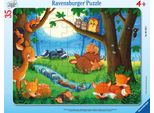 Quando Gli Animaletti Vanno A Dormire Ravensburger 05146