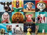 Eurographics Puzzle Animali Divertenti 1000 Pezzi